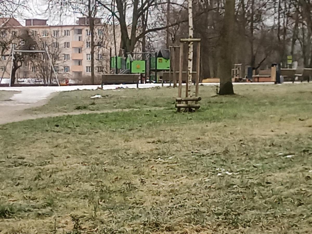Na Cervene Louce Apartman Cheb Appartement Buitenkant foto